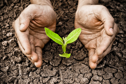 7 secrets of lead